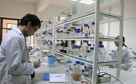 Vietnamese scientists in Australia make great contribution to the homeland - ảnh 1